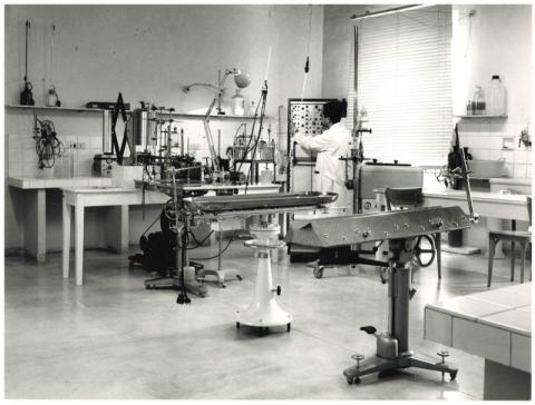 Biologia via san filippo