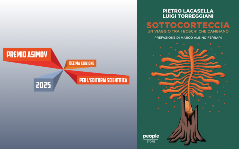 Sottocorteccia 