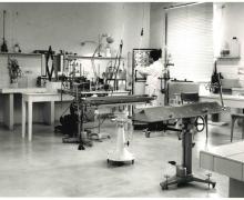 Biologia via san filippo