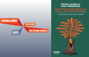 Sottocorteccia 