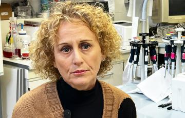 La mitofagia della cellula La mitofagia della cellula