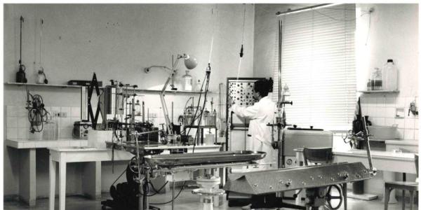Biologia via san filippo
